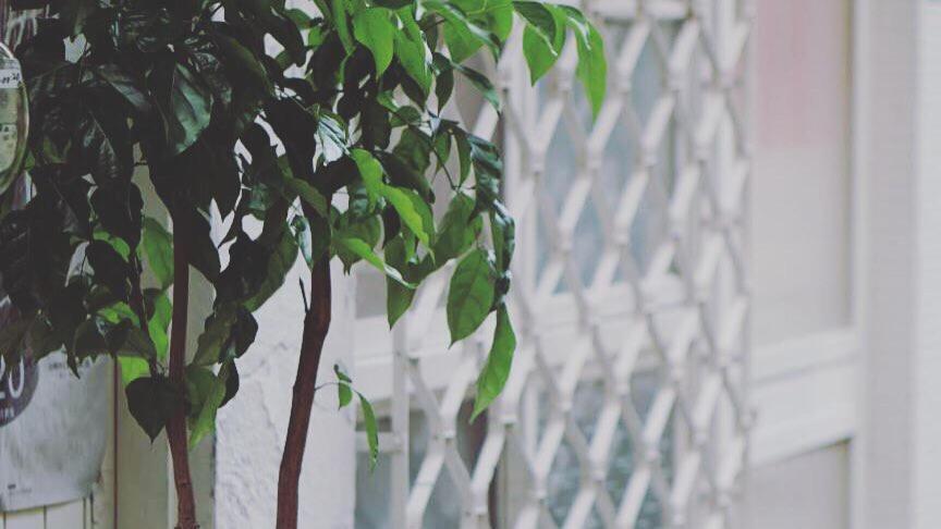 可以住canlive تاينان المظهر الخارجي الصورة